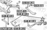 Febest SAB-B12R4 Rear Transverse Rod Bushing