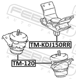 Febest TM-120 Front Engine Mount (Hydro)