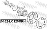 Febest 0182-LC120RRH Rear Wheel Hub RH