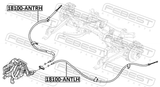 Febest 18100-ANTRH Parking Brake Cable, Right