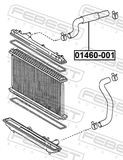 Febest 01460-001 Radiator Hose