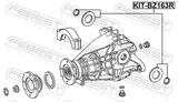 Febest KIT-BZ163R Rear Differential-Pinion Seal (Set Of Two)