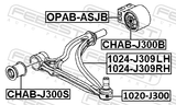 Febest CHAB-J300B Rear Bushing Without Bracket, Front Control Arm (Hydro)