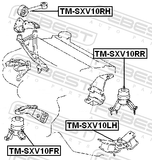 Febest TM-SXV10RH Right Engine Mount Mt