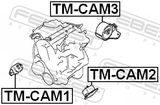 Febest TM-CAM3 Rear Engine Mount (Hydro)