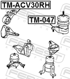 Febest TM-ACV30RH Right Engine Mount