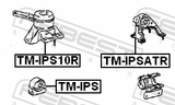 Febest TM-IPS10R Right Engine Mount (Hydro)