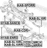 Febest 1225-LMRRH Rear Right Trailing Rod