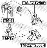 Febest TM-ZZT250R Rear Engine Mount