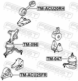 Febest TM-096 Right Engine Mount (Hydro)