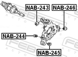 Febest NAB-246 Rear Knuckle Bushing