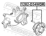 Febest 1282-D34WDR Rear Wheel Hub