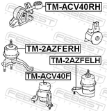 Febest TM-ACV40RH Right Engine Mount