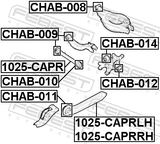 Febest 1025-CAPRRH Rear Right Trailing Rod