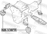 Febest NM-V36FR Front Engine Mount (Hydro)