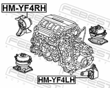 Febest HM-YF4RH Right Engine Mount (Hydro)