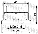 Febest 1698-NHUB01 Wheel Hub Nut 41X19