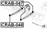 Febest CRAB-047 Rear Transverse Rod Bushing