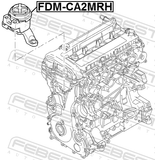 Febest FDM-CA2MRH Right Engine Mount (Hydro)