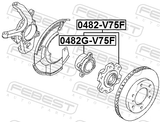 Febest 0482G-V75F Front Wheel Hub