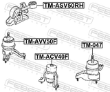 Febest TM-ASV50RH Right Engine Mount