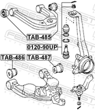 Febest TAB-485 Bushing, Front Upper Control Arm