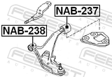 Febest NAB-238 Front Bushing, Front Control Arm