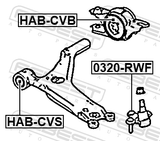 Febest HAB-CVS Front Bushing, Front Control Arm